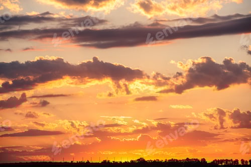 Preview: Sunset over meadow