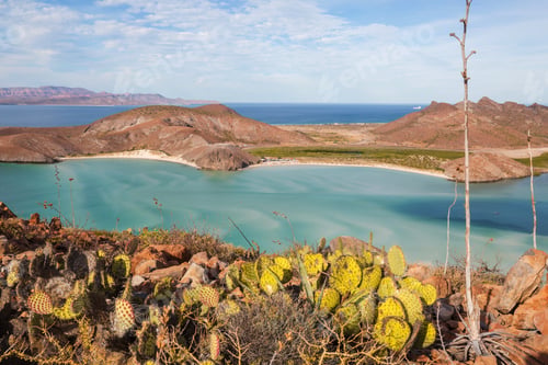 Preview: Baja