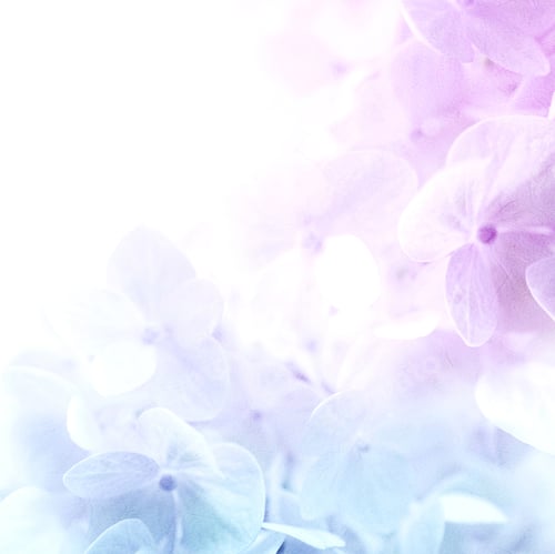 Preview: Colorful Flowers In Soft Color And Blur Style On Mulberry Paper Texture For Romantic Background