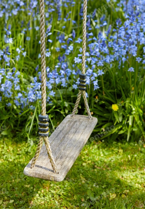 Preview: Bluebells in our informal garden