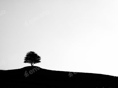 Preview: Silhouette of a single tree on a hill with a white background