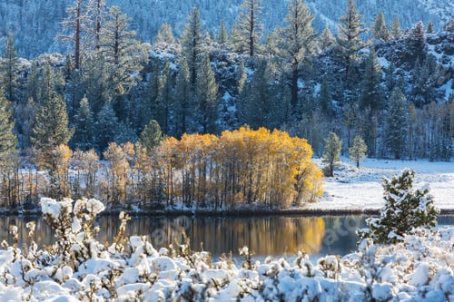 Preview: Autumn lake