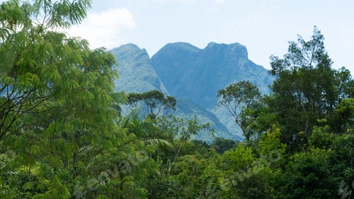 Preview: Mountains and rainforest