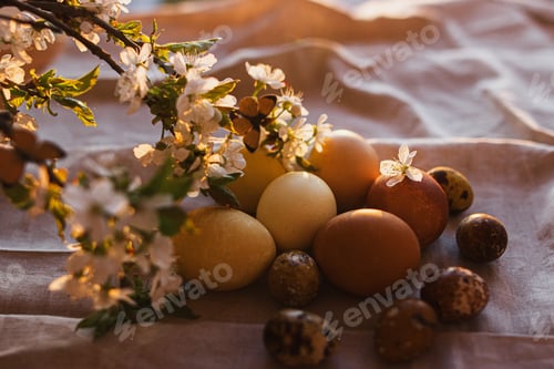 Preview: Happy Easter! Modern pastel easter eggs with blooming cherry branch on rustic linen in sunny light