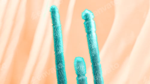 Preview: Trendy tropical Cactus plant neon surreal minimal on vivid background. Cacti contemporary mood. Tren