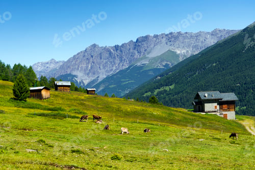 Preview: Passo Gavia, mountain pass in Lombardy, Italy, at summer