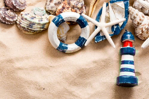 Preview: Starfishes, pearls, and amazing seashells close up