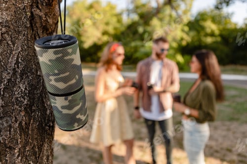 Preview: company of friends having fun together in park listening to music