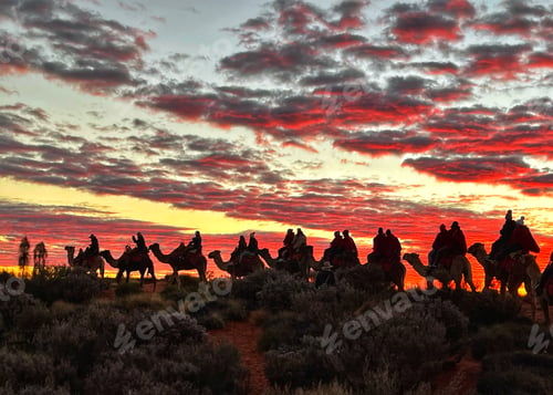 Preview: Camel train crossing the desert at sunrise