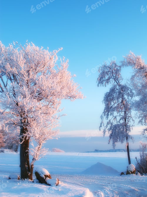 Preview: Winter in Denmark