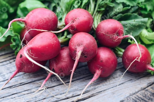 Preview: A bunch of purple radishes on a rustic wooden table