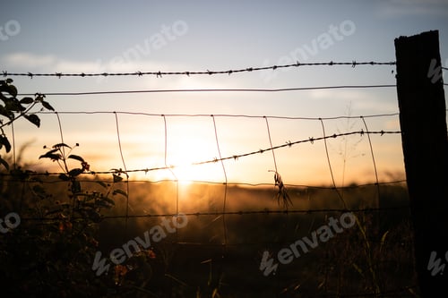 Preview: Sunset