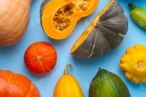 Preview: Many fresh pumpkins and other gourds on light blue background, flat lay