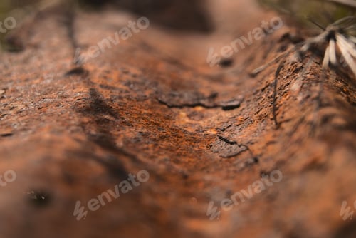 Preview: Closeup of a rusty surface texture