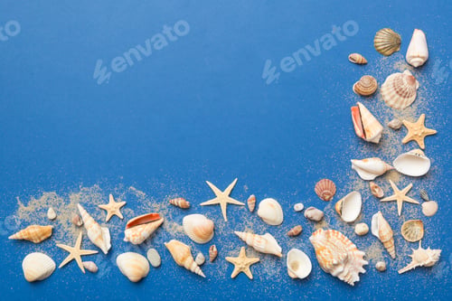 Preview: Summer time concept Flat lay composition with beautiful starfish