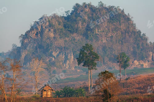 Preview: Northern Thailand