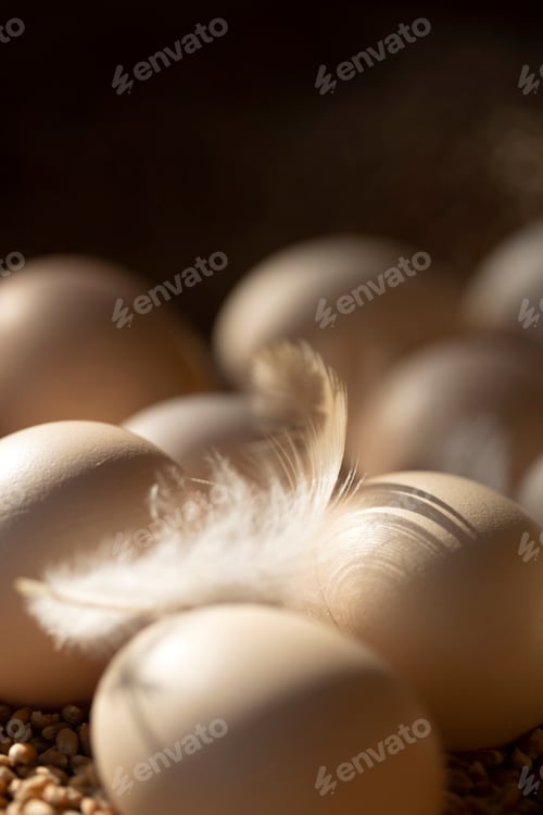 Preview: eggs lie on wheat