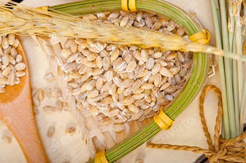 Preview: organic barley grains