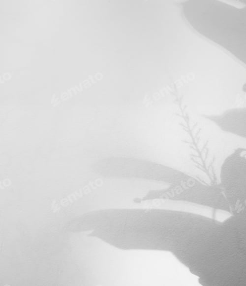 Preview: Subtle Leaf Shadow on a Clean White Surface