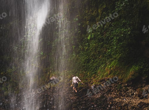 Preview: Ecuadorian rain forest