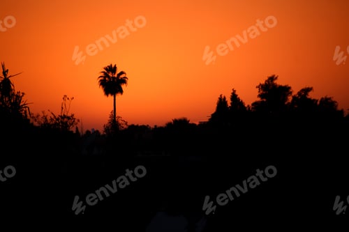 Preview: Orange Sunset in the Sahara Desert. Beautiful Landscape with copy space