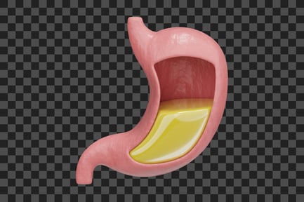 Preview: Stomach