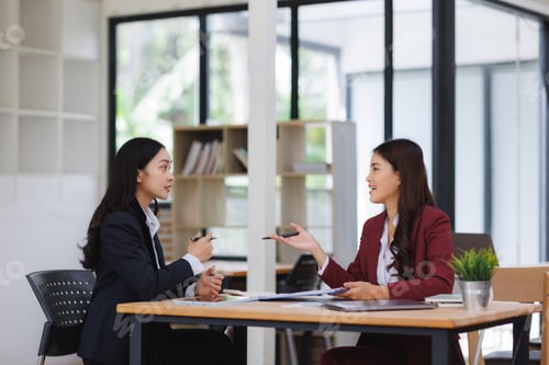Preview: Businesswomen discussing during a meeting in modern office