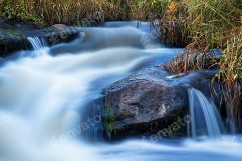 Preview: Stream runs among white wet stones covered with grass in golden autumn