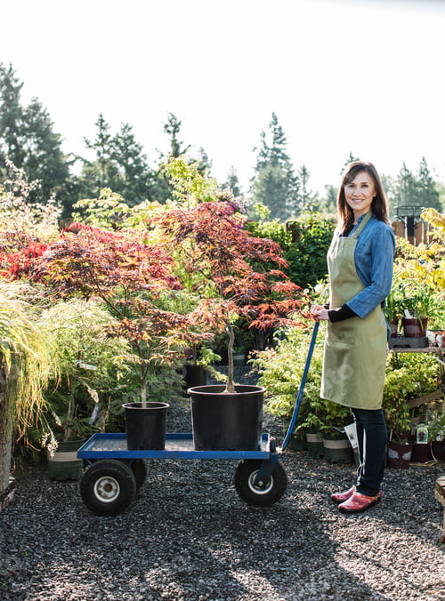 Preview: Caucasian woman owner of a garden center nursery with a wagon full of new plants.