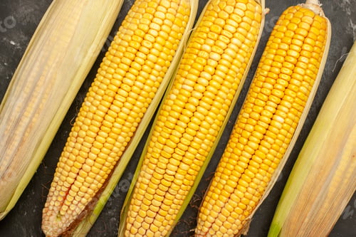 Preview: top view fresh yellow corns on the dark background raw color photo plant