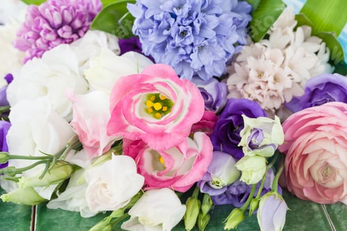 Preview: Colorful flowers