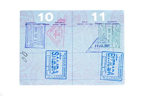 Preview: Passport with visa pages