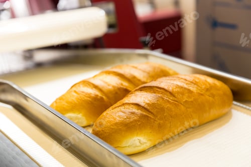 Preview: Professional bakery equipment, bread conveyor