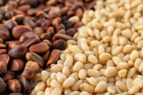 Preview: Pile of pine nuts as background, closeup