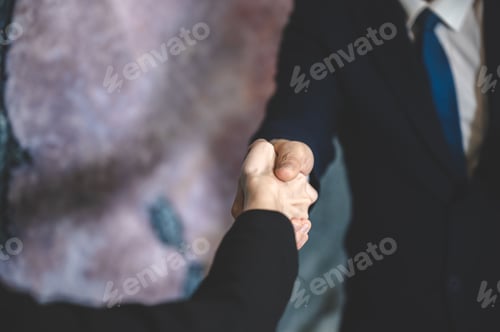 Preview: business people are shaking hand for job interview, handshake for successful to join a work