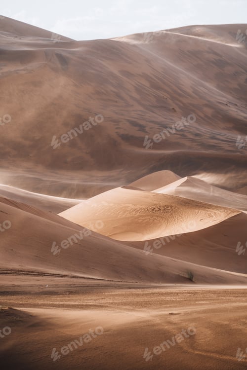 Preview: Sand texture in Morocco Sahara Merzouga Desert portrait oriented