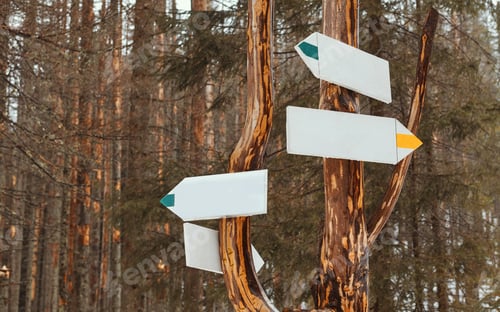 Preview: Dirrection signs in the mountain forest