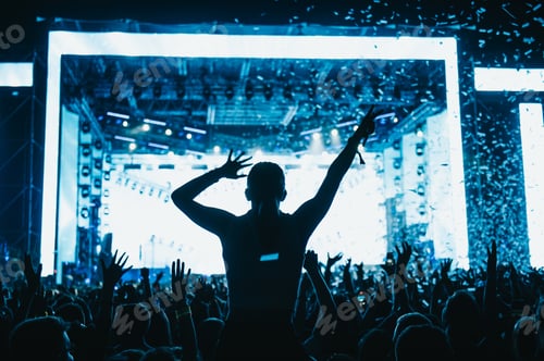 Preview: Silhouette of concert crowd in front of bright stage lights on a music festival