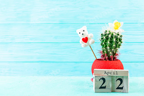 Preview: April 22, Earth Day. Plastic free background. Eco friendly, zero waste, concept.