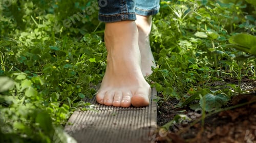 Preview: Closeup of bare female feet walking on wooden board through dense grass in garden. Concept of