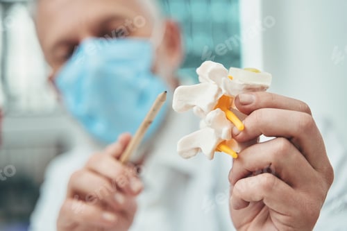 Preview: Doctor in a face mask explaining the spine anatomy