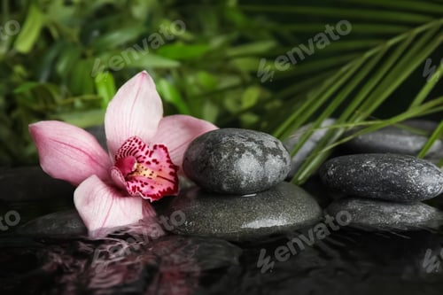 Preview: Zen stones and exotic flower in water against blurred background. Space for text