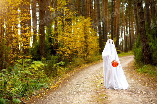 Preview: A child in sheets with slits like a ghost costume in an autumn forest scares and terrifies