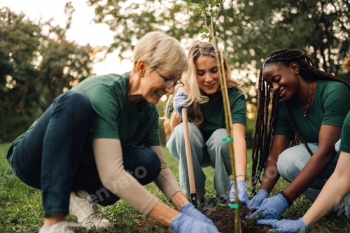 Preview: Group of volunteers planting trees in park