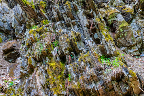 Preview: forest rocks