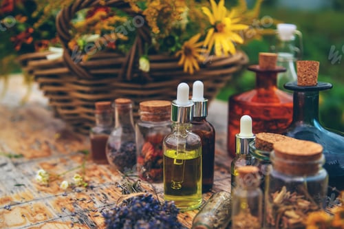 Preview: Medicinal herbs and tinctures on the table. Selective focus.