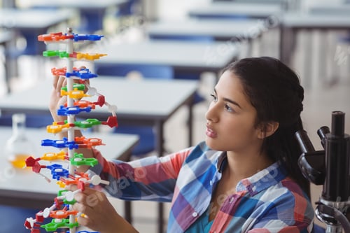 Preview: Attentive schoolgirl experimenting molecule model in laboratory