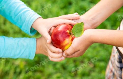 Preview: An apple in children's hands is shared by friends. Selective focus.