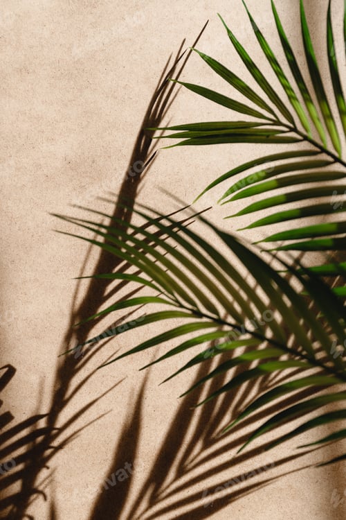 Preview: Tropics minimalist abstract blurred background of palm leaf shadow over kraft paper.