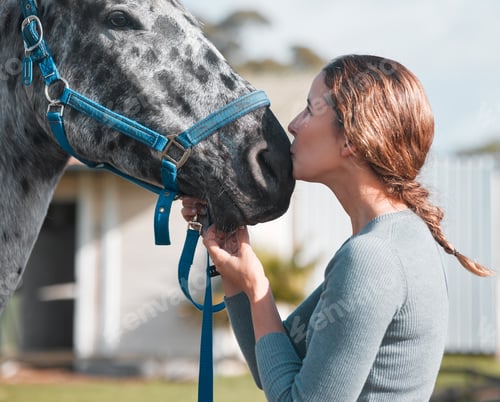 Preview: I love him so. Shot of an attractive woman being affection with a horse on a farm.